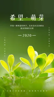 希望萌芽励志摄影图海报