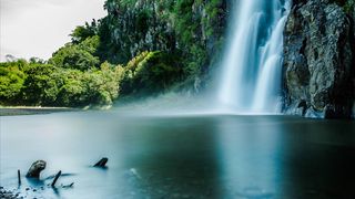 风景画 绿地风景 自然风景画 花树 清新淡雅 
