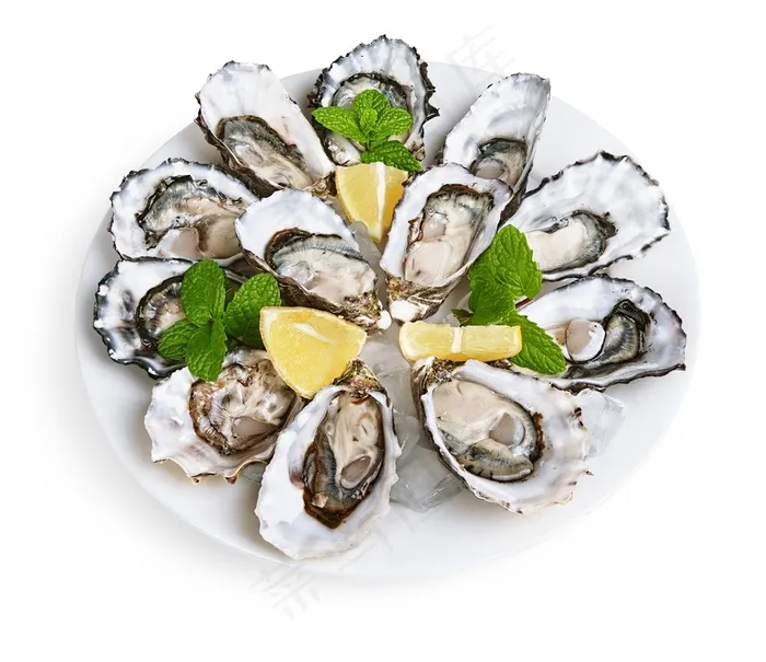 美味的生蚝海鲜美食图片