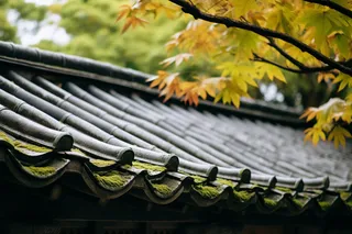 秋季雨过江南建筑屋檐摄影图