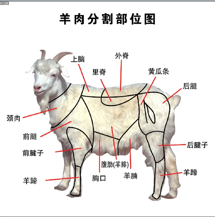 羊肉分割图psd模版下载