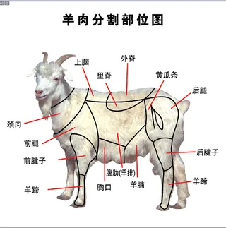 羊肉分割图