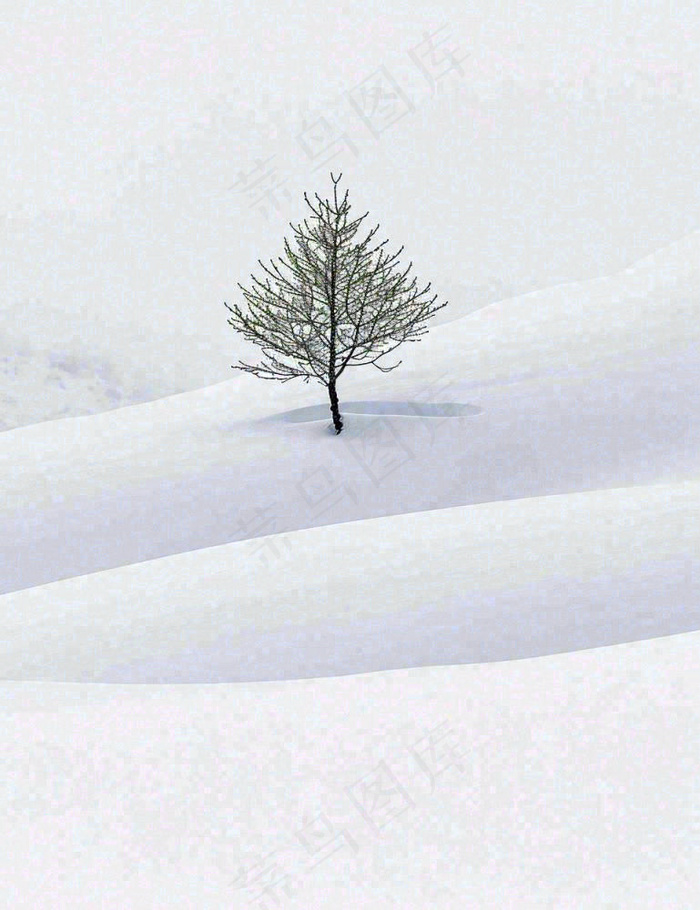 冬天意境简约松树雪地，立冬冬至小雪大雪小寒大寒(960x1248)