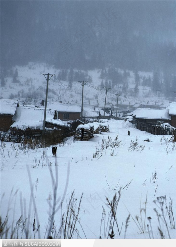 冬日美景-小村庄的美丽雪景