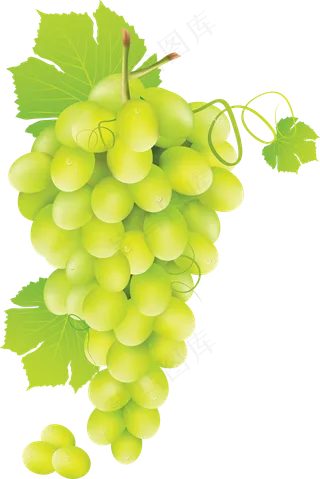 葡萄免抠素材 (35)