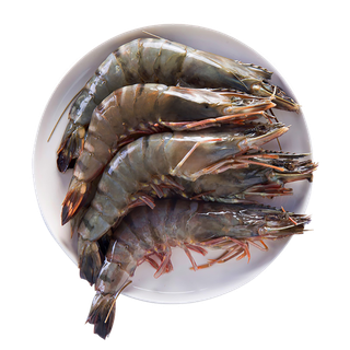 黑虎虾(1)海鲜超市商品红酒白底图免抠实物摄影png格式图片透明底