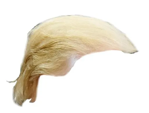 假发 PNG免抠(1280x972)