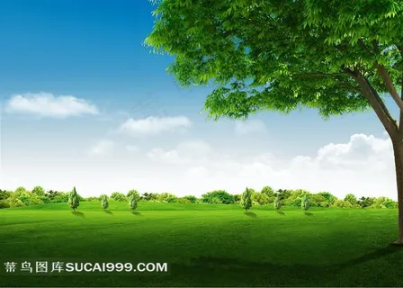 蓝天白云草地风景图片 蓝天白云草地风景图片