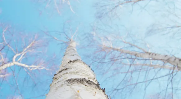 淡蓝色意境背景图片 淡蓝色意境背景图片