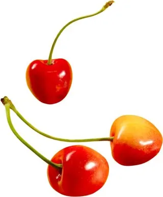 樱桃PNG图片免抠