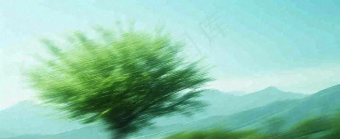 高山模糊绿树植物光影，大自然摄影图(1712x704)