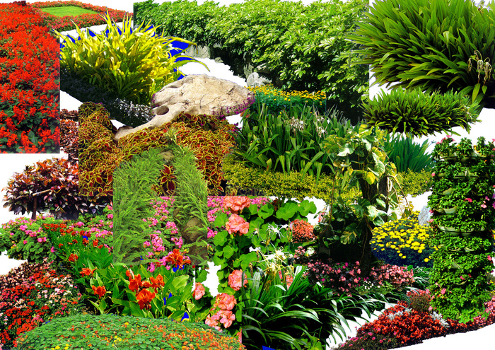 综合花草装饰画素材