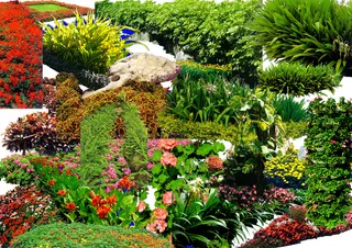 综合花草装饰画素材