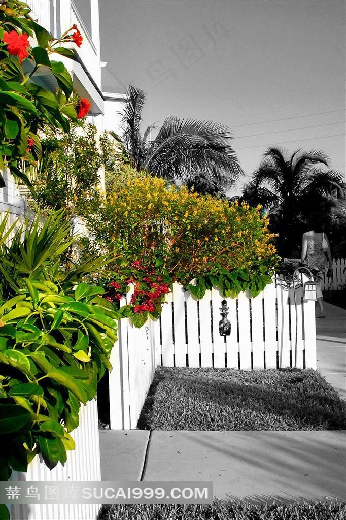 创意图形装饰画设计素材