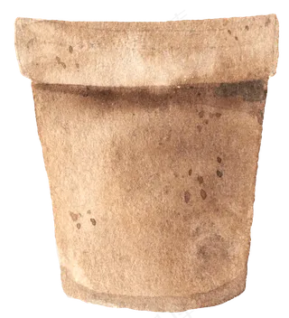 水彩插画-花盆1