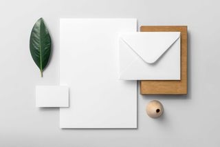 文创办公植物名片信纸品牌VI设计展示场景智能贴图样机