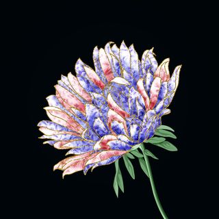 一个大花黑色背景墙