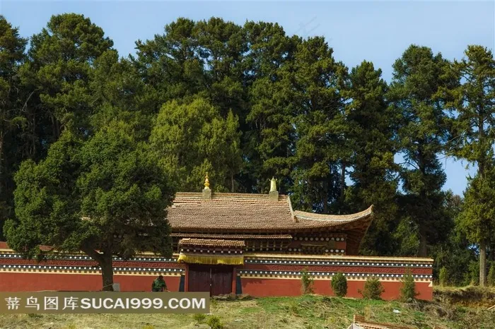 苍松山林中的红色寺院佛殿建筑景观