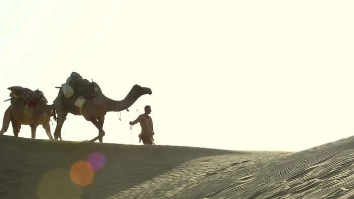 穿越沙漠的骆驼商队