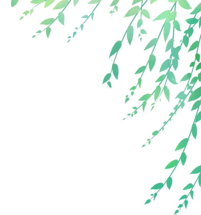 春天绿色春季水墨柳树柳条柳叶春季海报设计PNG免扣素材