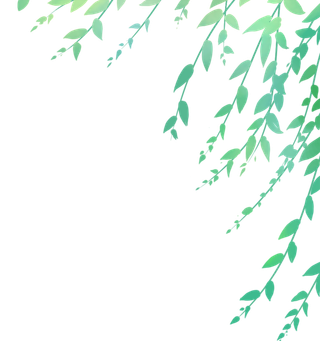 春天绿色春季水墨柳树柳条柳叶春季海报设计PNG免扣素材