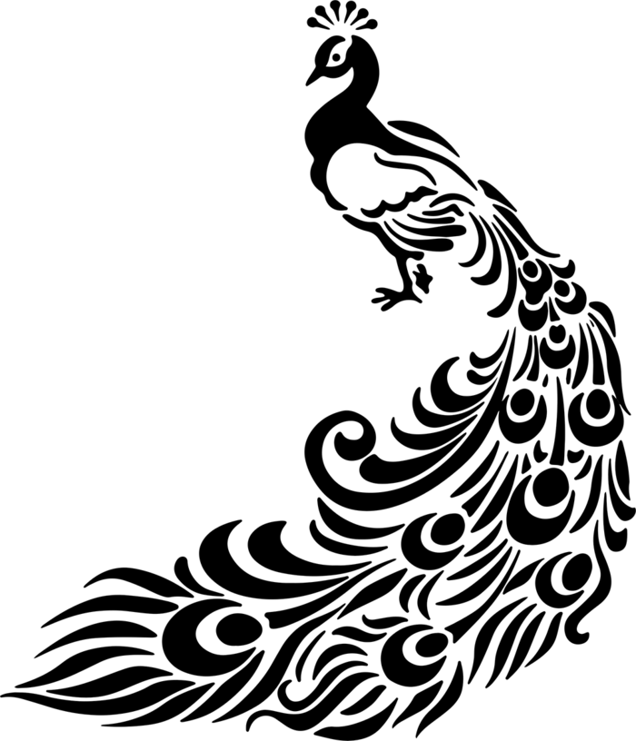 孔雀线条简笔