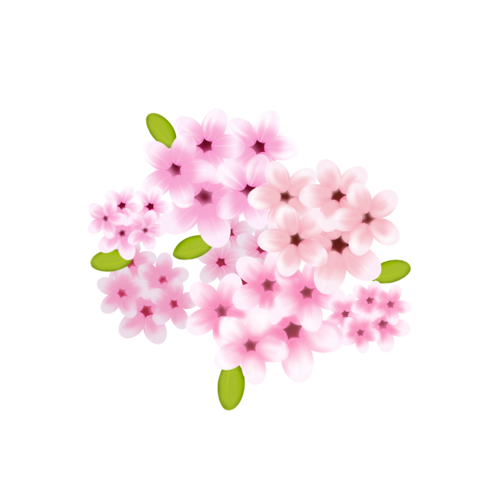 春天浪漫粉红色樱花手绘樱花梅花桃花花朵图片PNG免扣素材