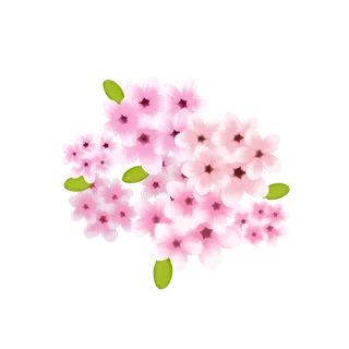 春天浪漫粉红色樱花手绘樱花梅花桃花花朵图片PNG免扣素材