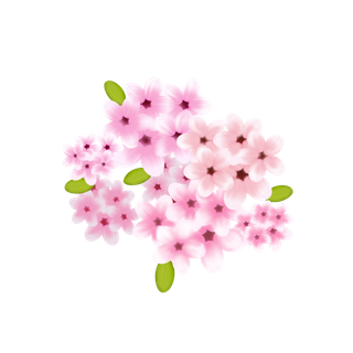 春天浪漫粉红色樱花手绘樱花梅花桃花花朵图片PNG免扣素材