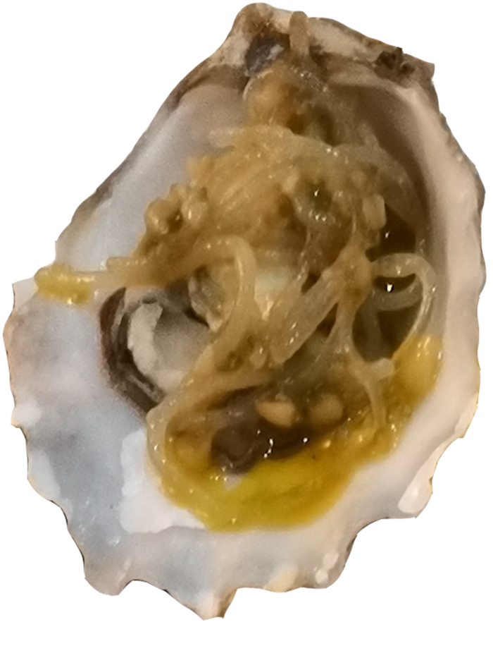 清蒸蒜蓉生蚝扇贝免抠高清摄影实拍素材元素
