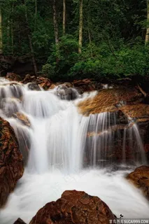 瀑布绿色植物图片素材