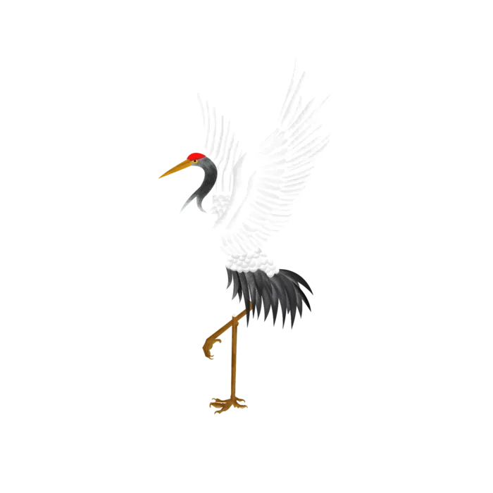 中国风古典中式国潮风手绘飞鹤图案仙鹤装饰素材PNG免抠插画元素