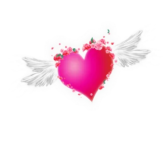 爱心飞翔情人节