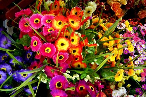高清花篮图片下载 高清花篮图片下载