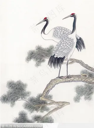 工笔画—白鹤