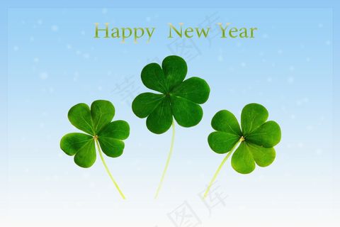新年四叶草图片