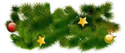 冷杉 PNG 图像免抠(561x239)