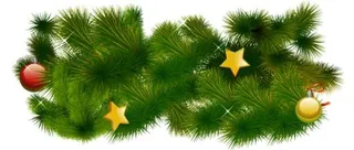 冷杉 PNG 图像免抠