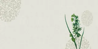 中国风传统水墨古风古典展板边框工笔画PS海报背景平面设计素材