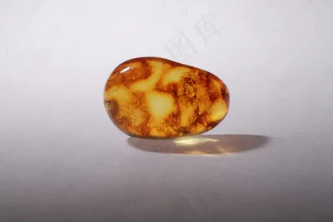 琥珀图片 琥珀图片