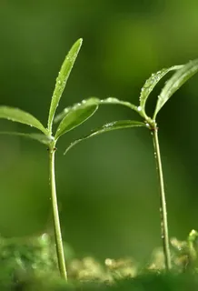 竖屏手机最美壁纸背景素材 竖屏手机最美壁纸背景素材