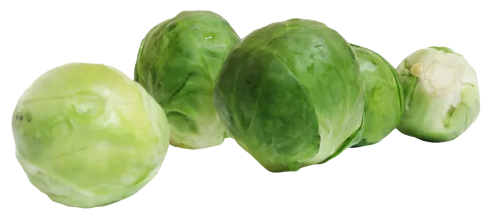 蔬菜包菜一排