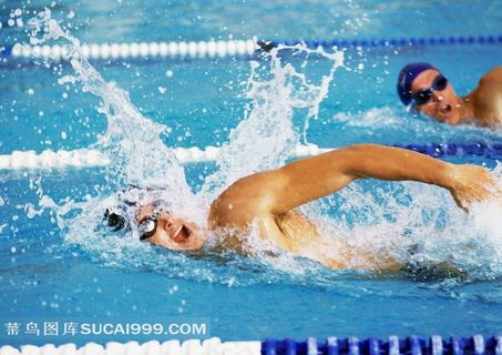 游泳比赛摄影