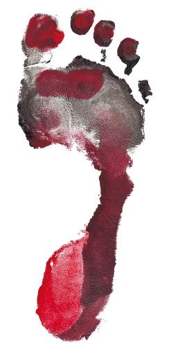 脚印 PNG免抠(1893x3972)