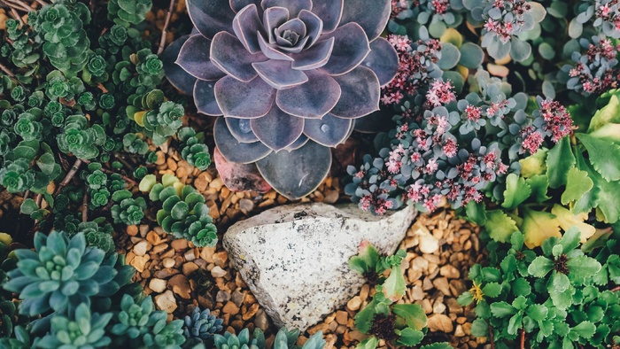 唯美高清海洋植物风景风光