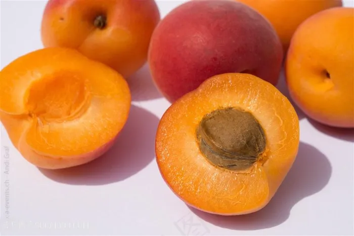 唯美食物杏图片
