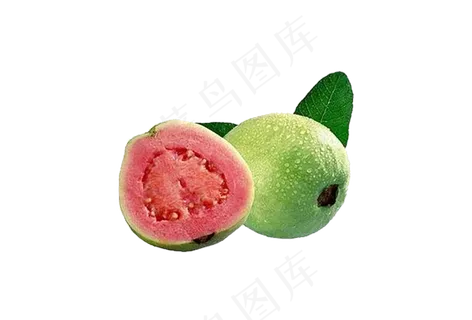 番石榴免抠素材 (1)