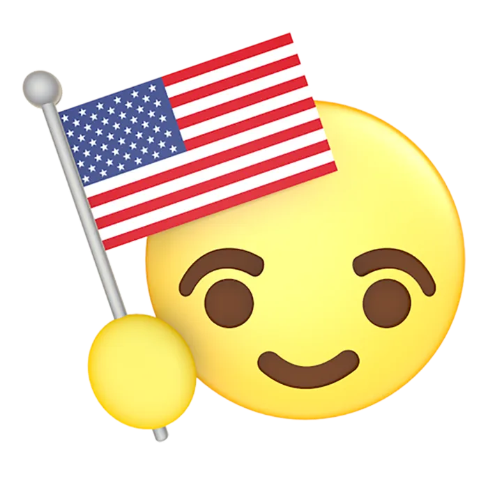 美国旗子表情