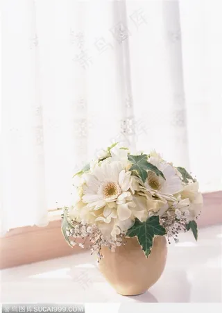 插花物语-白色的小菊花