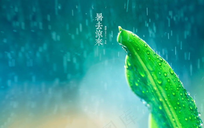 立秋二十四节气图片